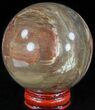 Colorful Petrified Wood Sphere #49763-1